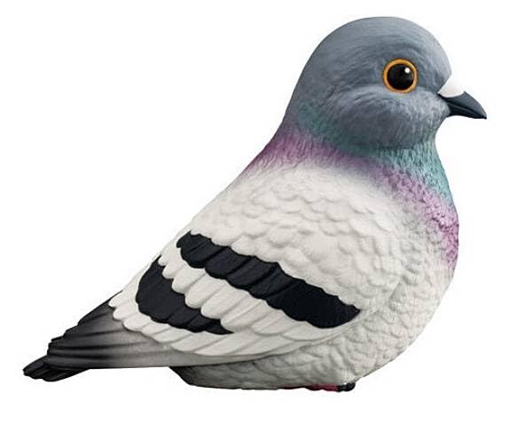 Amazon | 【1.いつもの君】てのりフレンズ -鳩- imagination-mix